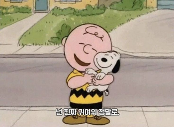 스누피와 찰리 브라운의 첫만남 | 인스티즈