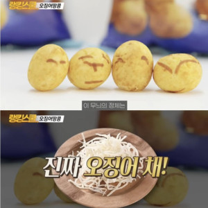 5 오징어땅콩 무늬 정체.png.jpg