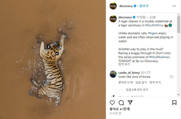 1 디스커버리가 올린 호랑이 사진 억빠라고 생각했는데 진짜였네.png.jpg