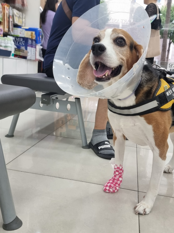 2b392d1e4aa692b1e1057c0d9a0b3782_1751976066_4257.jpeg