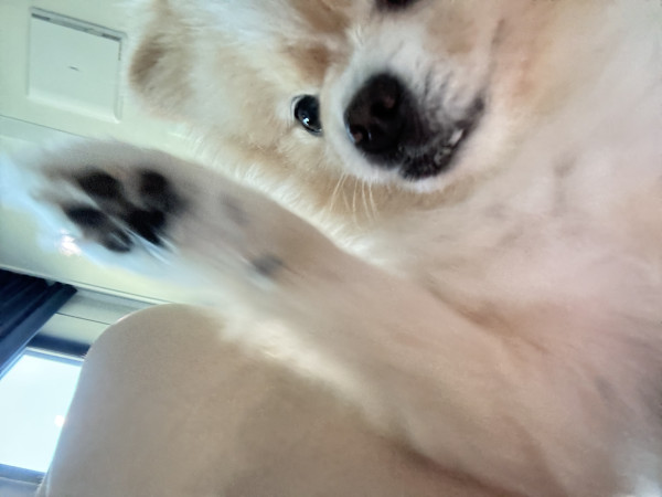 4374ad4481971c26e2aa717025f218e4_1752305202_1749.jpeg