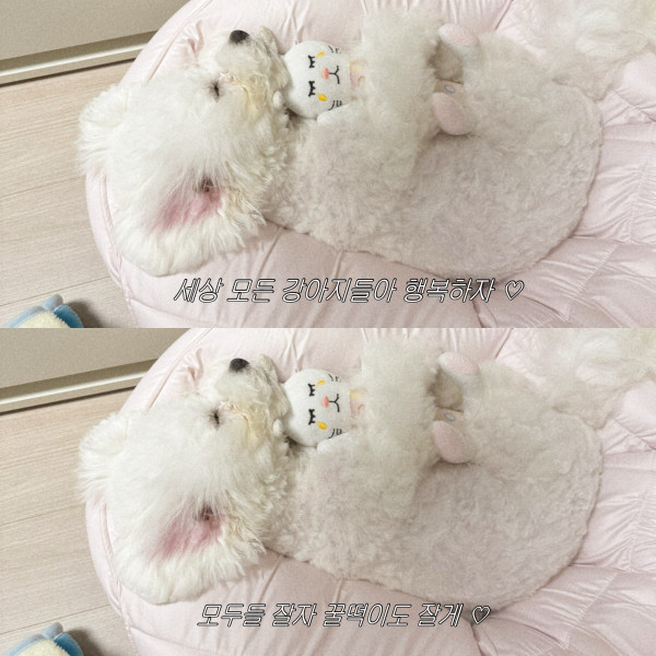 62fb2734d5664282c2c58b926277f261_1753676842_2220.jpeg