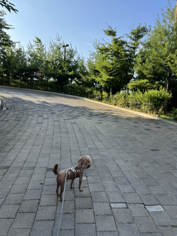 e909e996ff3370ec7cb194571a21b1e7_1752505985_6411.jpeg
