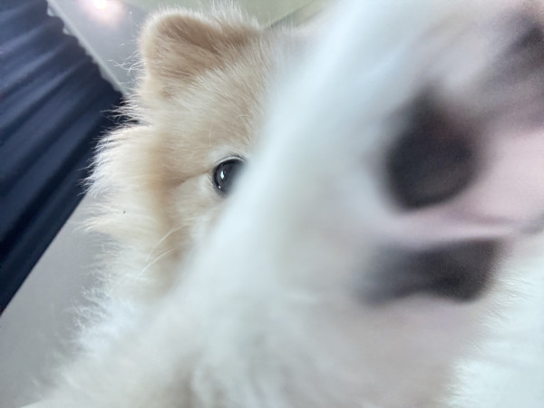 f357842b7d2d583ba1a2918d65fadc5b_1752305202_2532.jpeg