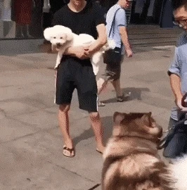 20250829111837_EcqvhvpuGL.webp