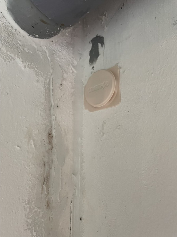 초월적 존재가 음식을 줬다._1.jpg