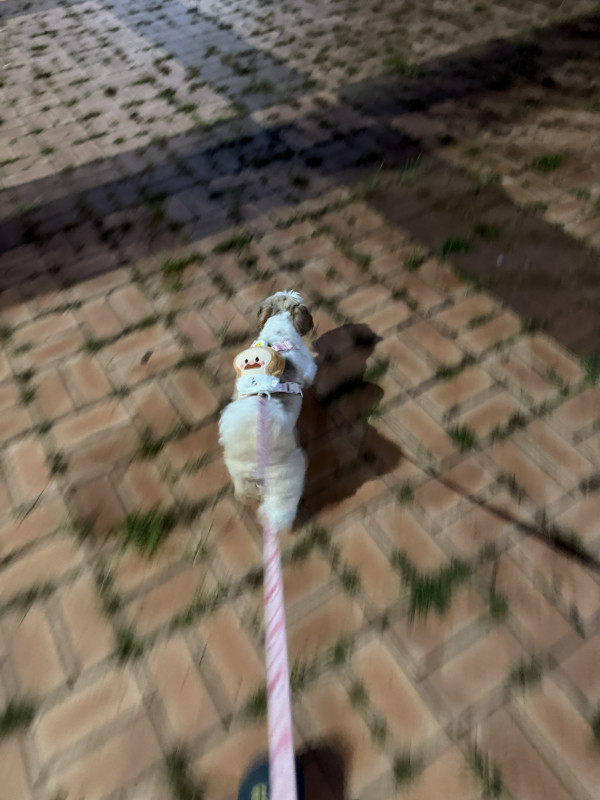 559f6e073047aa2eb912301c98747094_1755399161_8781.jpeg