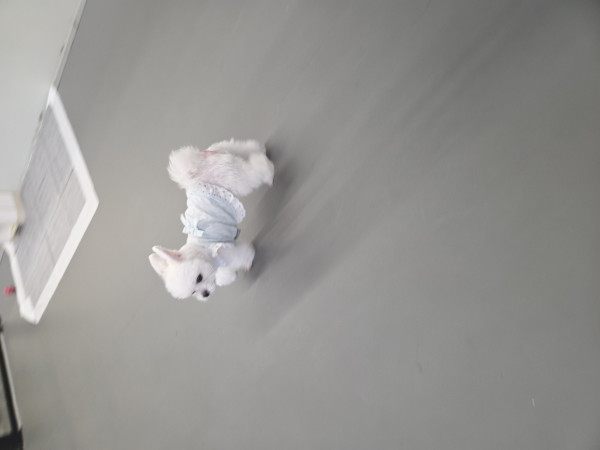 ad5caac8129e27c925c6b2e52e9449f5_1754718700_4716.jpeg
