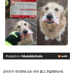 003801_76889304299d604c0bfb17322e697fb5.webp