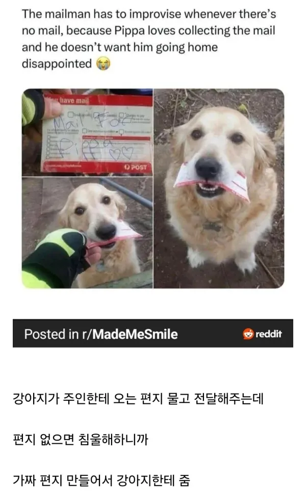 003801_76889304299d604c0bfb17322e697fb5.webp