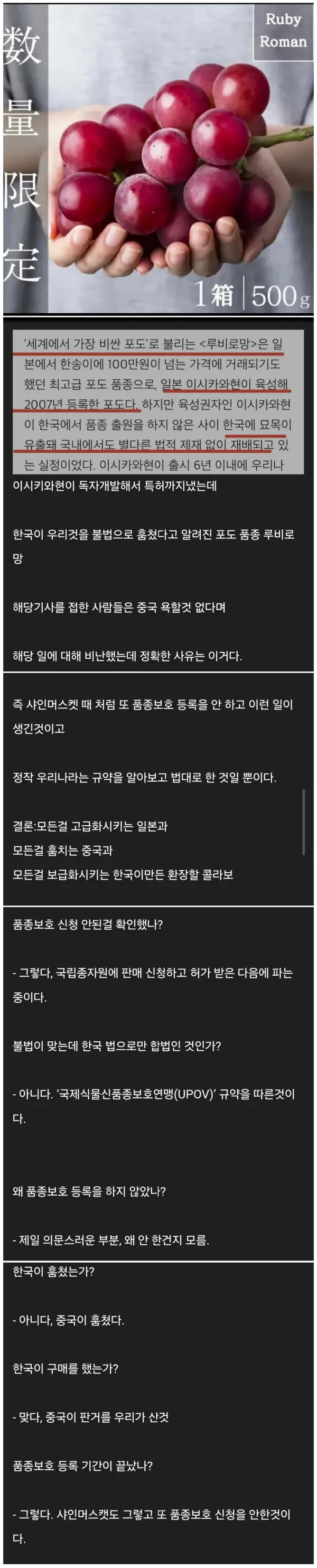 제 2의 샤인 머스켓 사태