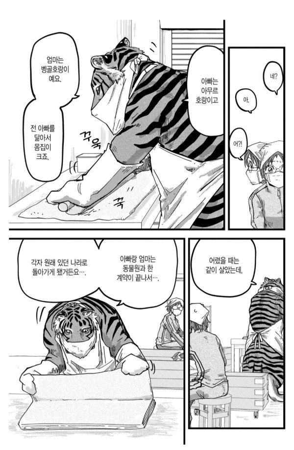 일본에서 태어난 암컷호랑이.manhwa_2.png