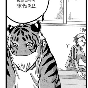 일본에서 태어난 암컷호랑이.manhwa_1.png