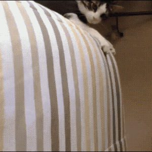 20250924180110_jPUbB6oJIx.gif
