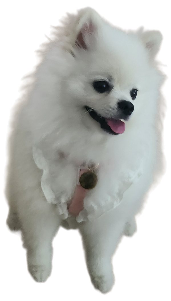 5f9d30c348e31181d1f67f0523d1d8d5_1757337445_3798.png