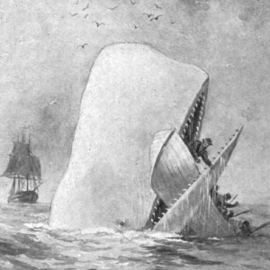 포경선으로부터 고래를 지키기 위해 평생 싸워온 영웅.jpg_1.jpg