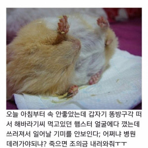 11 인간 방귀의 위력.jpg