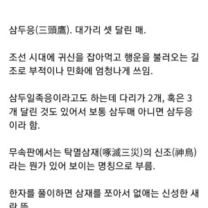 6 사람들이 잘 모른다는 한국의 조류 상징물 근본.jpg