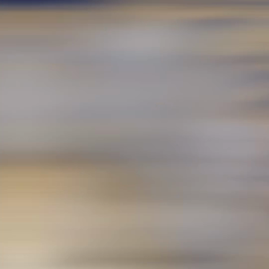 펫플루언서 이미지