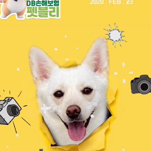 펫플루언서 이미지