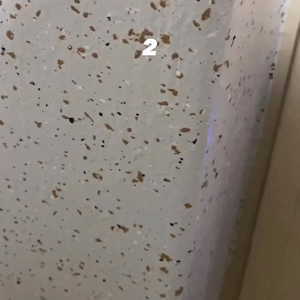 펫플루언서 이미지