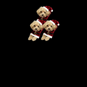 펫플루언서 이미지