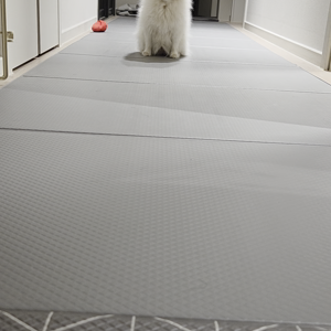 펫플루언서 이미지