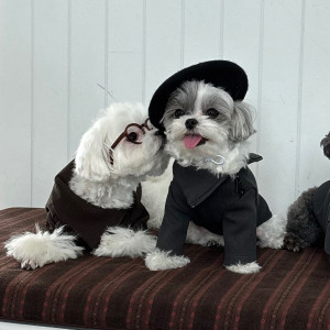 MVPET 후보 이미지