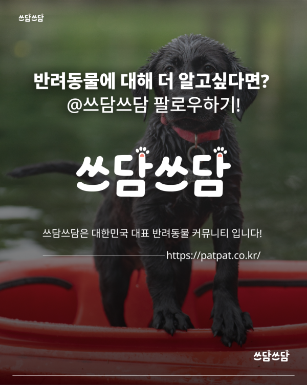 KakaoTalk_20260422_135325027_07.png