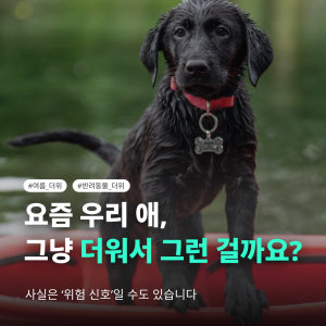 KakaoTalk_20260422_135325027.png