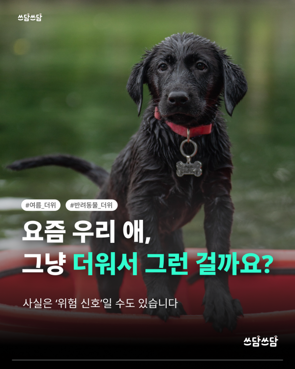 KakaoTalk_20260422_135325027.png