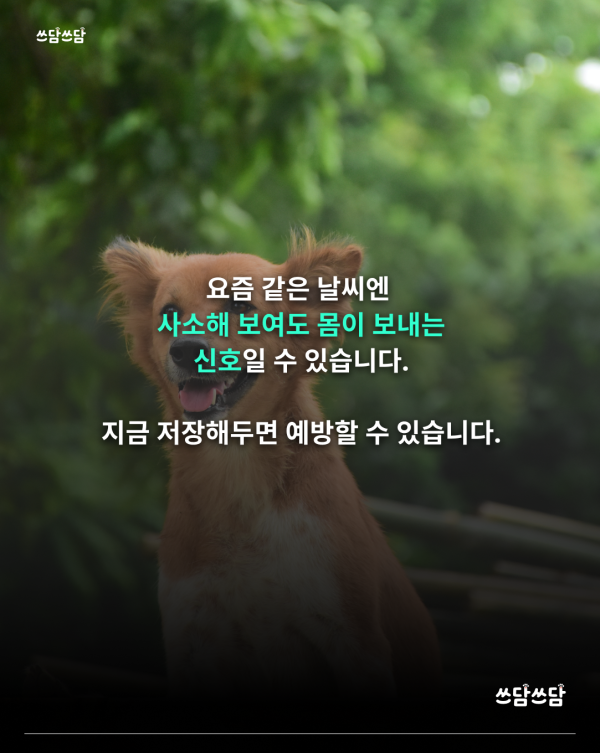 KakaoTalk_20260422_135325027_06.png