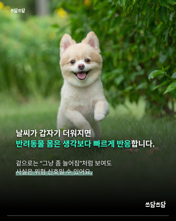 KakaoTalk_20260422_135325027_01.png