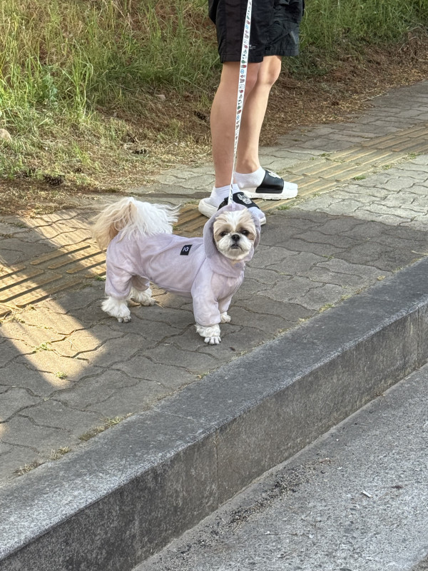 01138dade67f4e2eb24ae1568f7b774c_1778329599_7198.jpeg