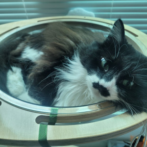 MVPET 후보 이미지