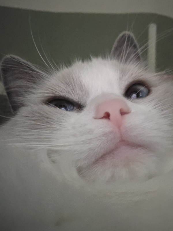 836a6da8af7fbde6cfc6f0e160080814_1780207009_9656.jpg
