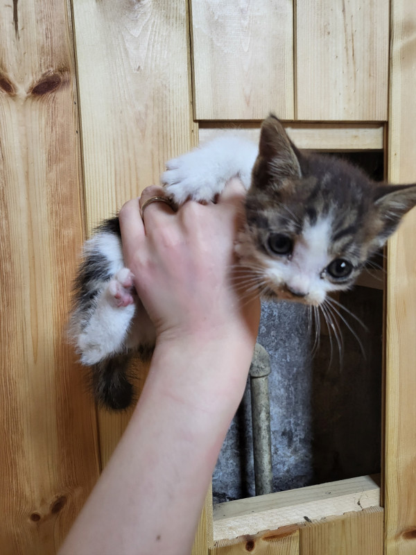 8f239b7d3634424f546c74721b0805da_1779968026_3083.jpg