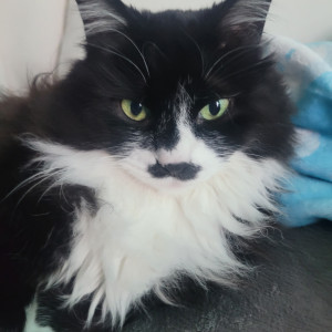 MVPET 당선 이미지