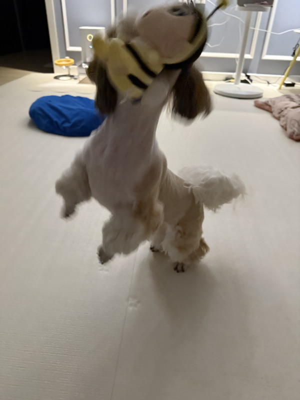 c3e249cef69c2b3ed3a04cd538923a9f_1777859939_4276.jpeg