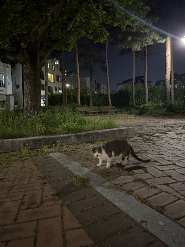 f2e33a820e1354d805c661593c8331a1_1778329600_3630.jpeg