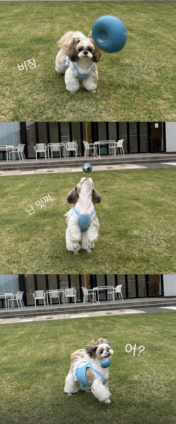 4c785496c47686f22f97adb65f9e1345_1780992873_5916.jpeg