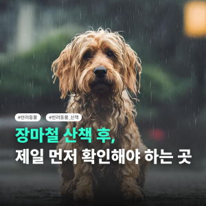 KakaoTalk_20260623_154551338.png