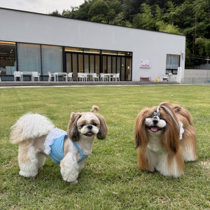 MVPET 후보 이미지