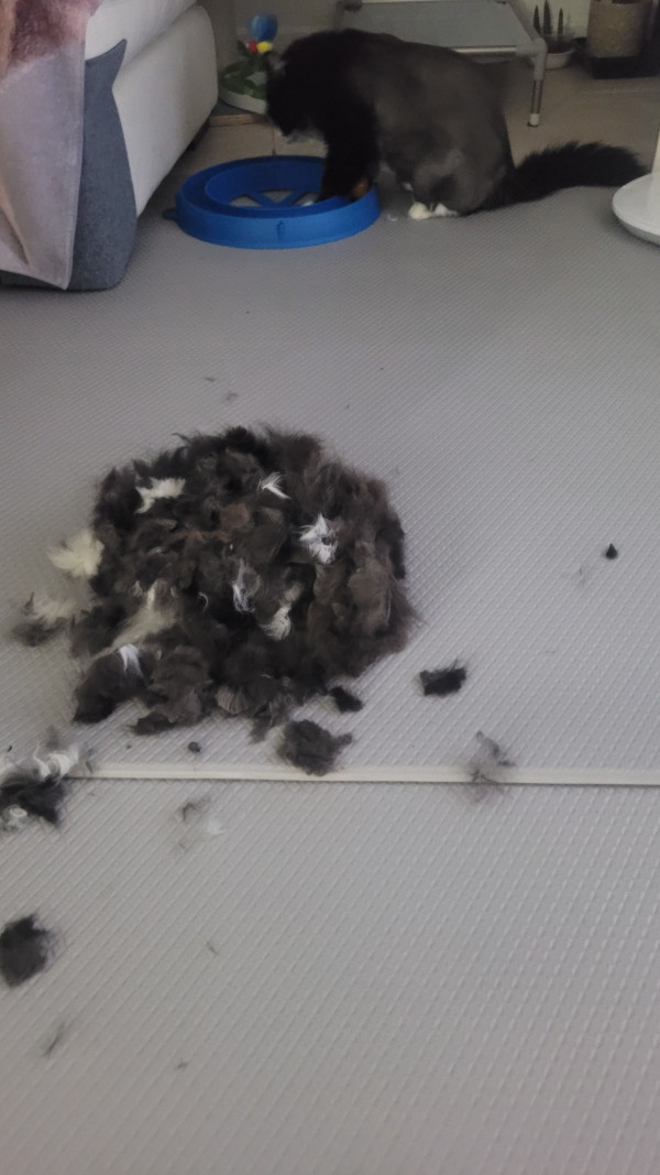 d317e809f4dce4856ad90a23d0757c6f_1782099759_5791.jpg