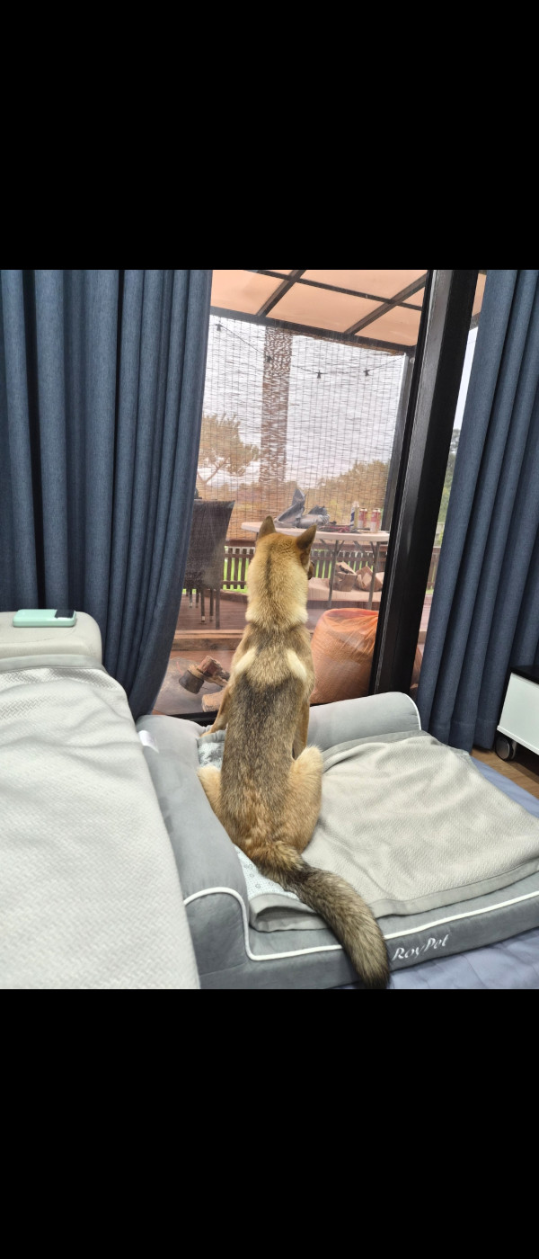 488494847689b65f8d0e5fbc02c35644_1783672440_4476.jpg