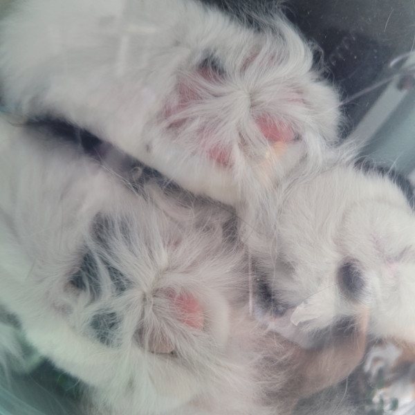 63de412a71cad0b377383532c24ee2f8_1784277170_9642.jpg