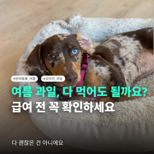 KakaoTalk_20260701_154320660.png
