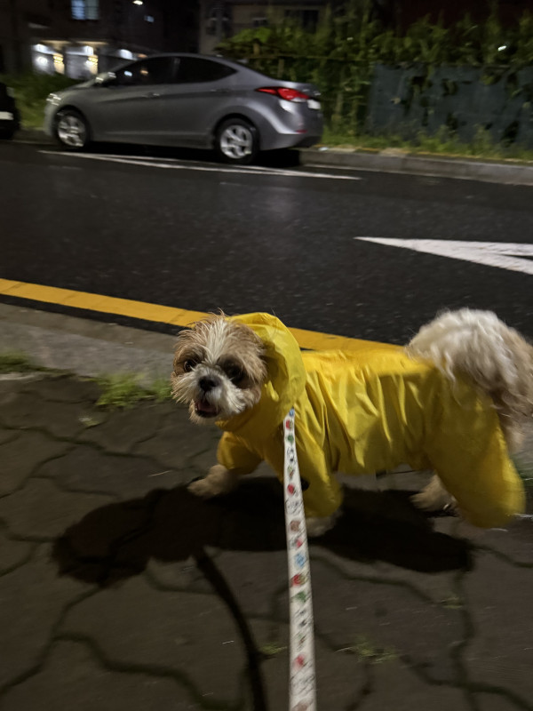dc201939d857105c8a83e6c533dc4f7f_1783338264_7582.jpeg