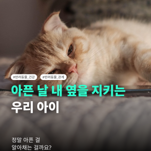 KakaoTalk_20260722_123522177.png