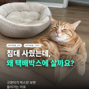 KakaoTalk_20260722_145605931.png